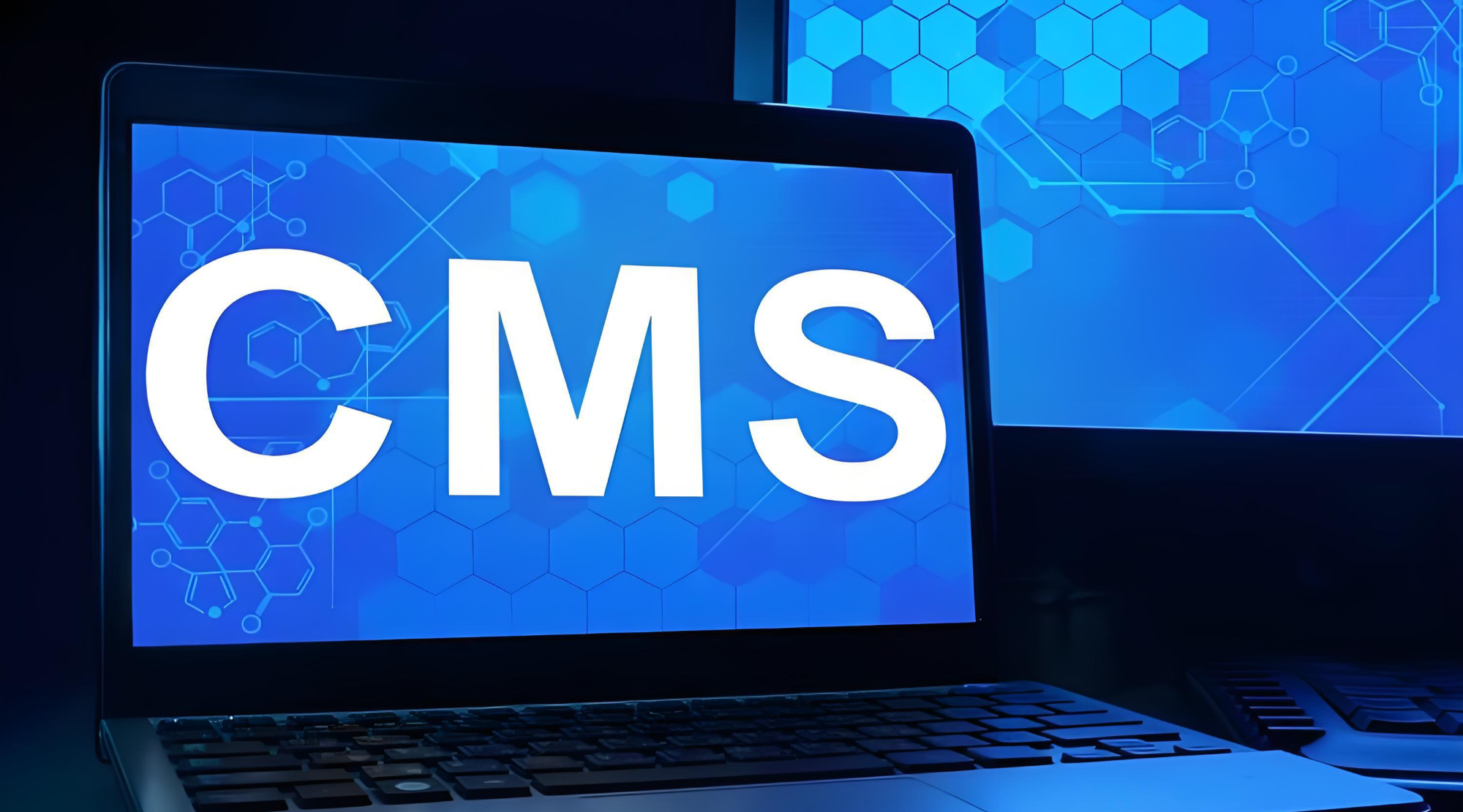 什么是 CMS（内容管理系统）？